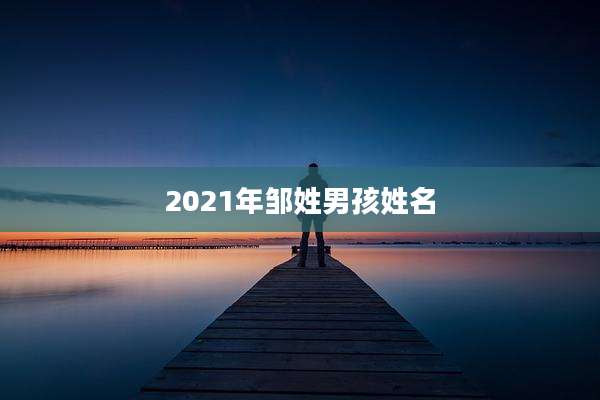 2021年邹姓男孩姓名