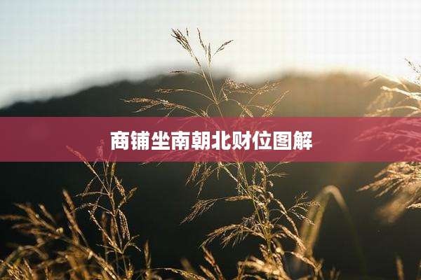 商铺坐南朝北财位图解