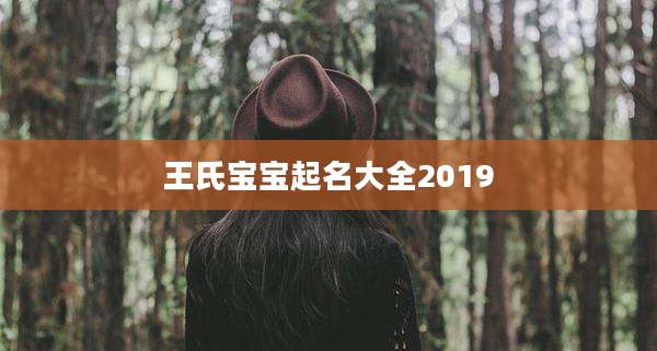 王氏宝宝起名大全2019