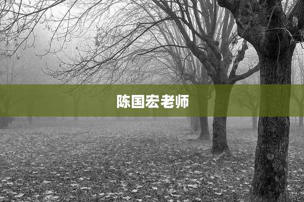 陈国宏老师