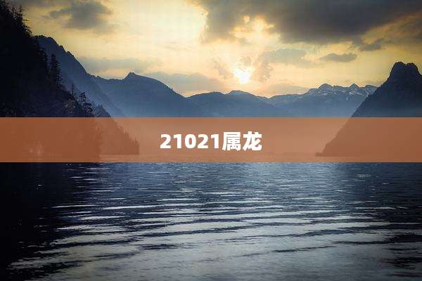 21021属龙