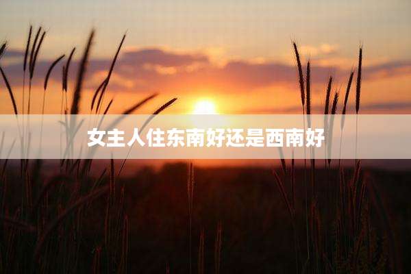 女主人住东南好还是西南好