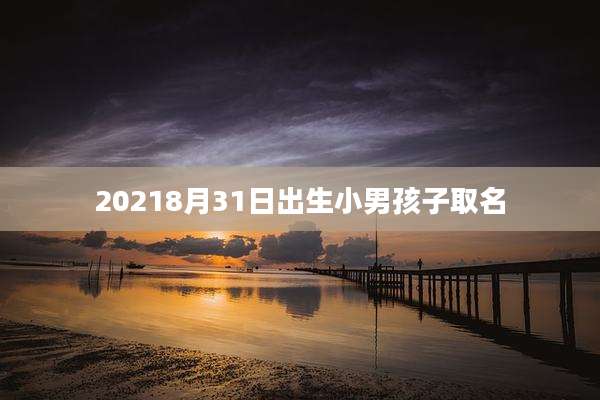 20218月31日出生小男孩子取名
