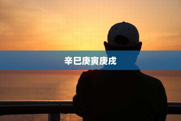 辛巳庚寅庚戌