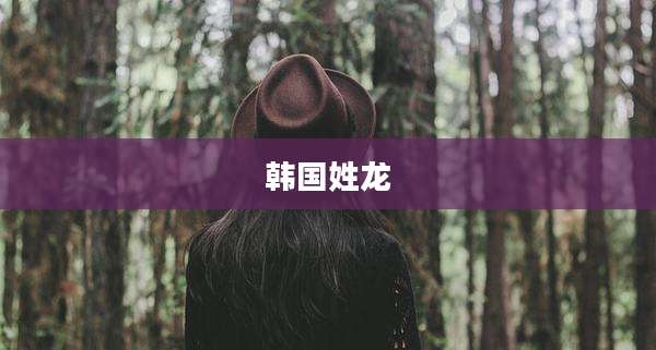 韩国姓龙