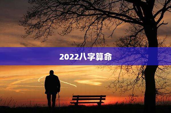 2022八字算命