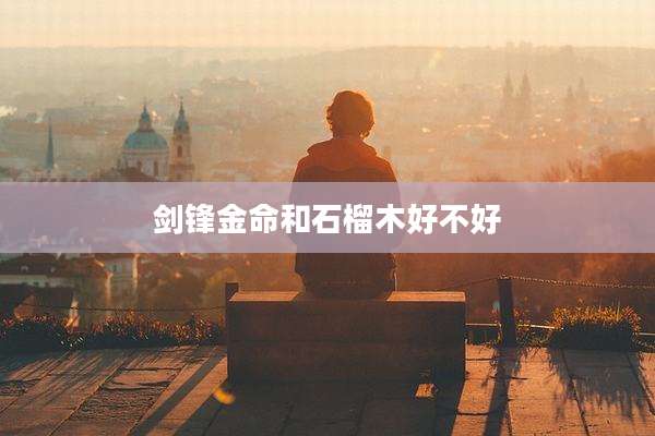 剑锋金命和石榴木好不好