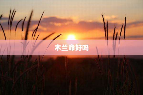 木兰命好吗