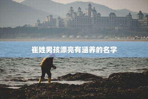 崔姓男孩漂亮有涵养的名字