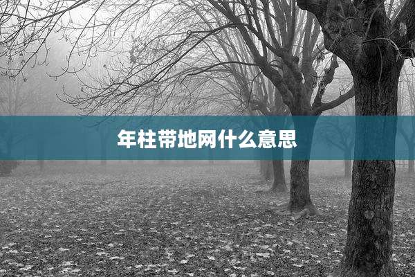 年柱带地网什么意思
