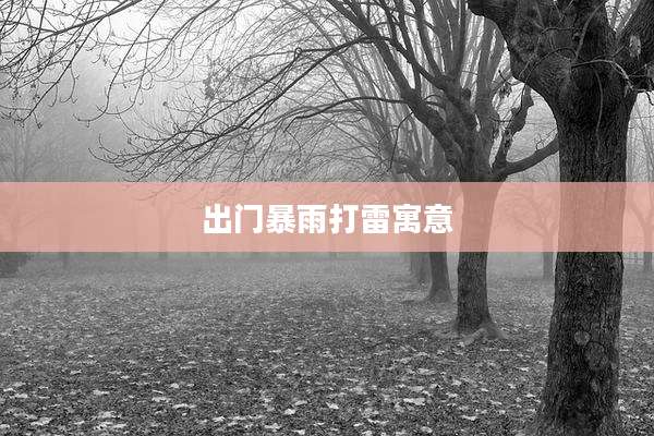 出门暴雨打雷寓意