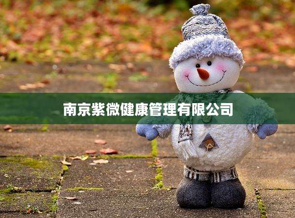 南京紫微健康管理有限公司
