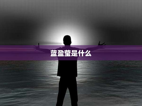 蓝盈莹是什么