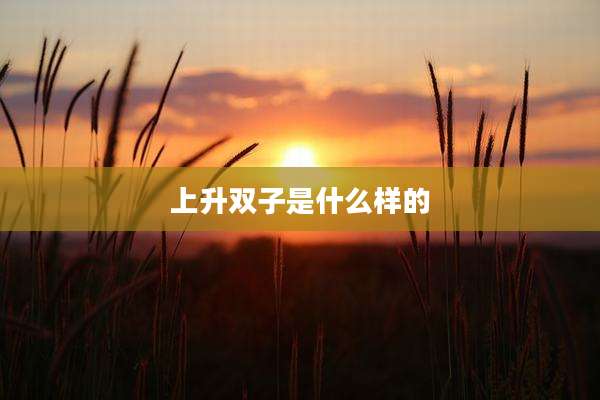 上升双子是什么样的