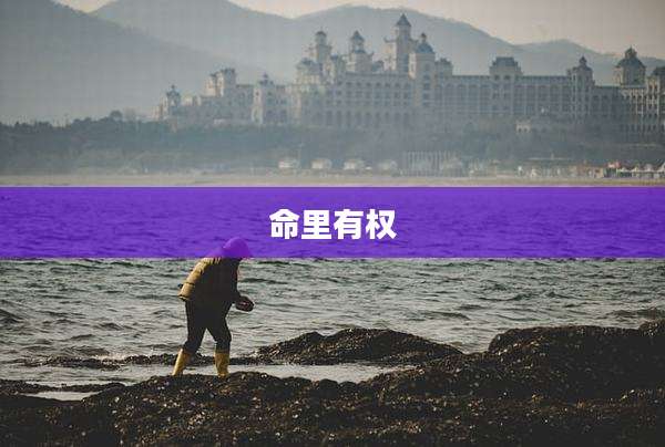 命里有权