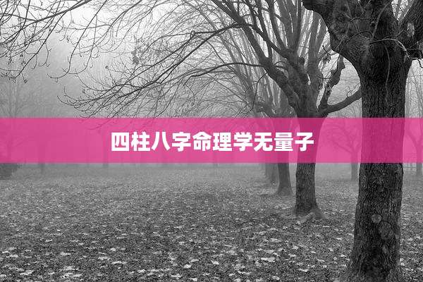 四柱八字命理学无量子