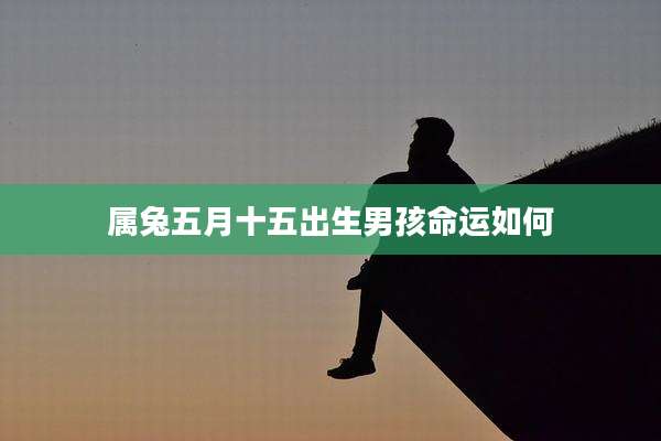 属兔五月十五出生男孩命运如何