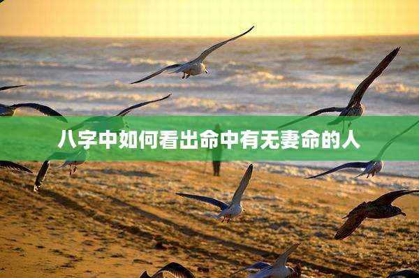 八字中如何看出命中有无妻命的人