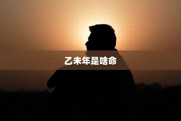 乙未年是啥命