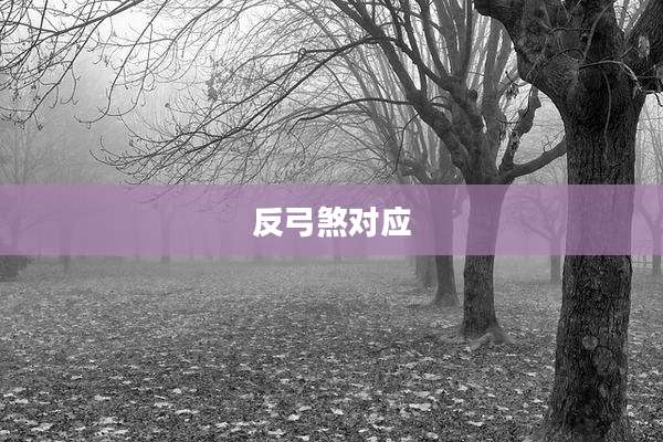 反弓煞对应