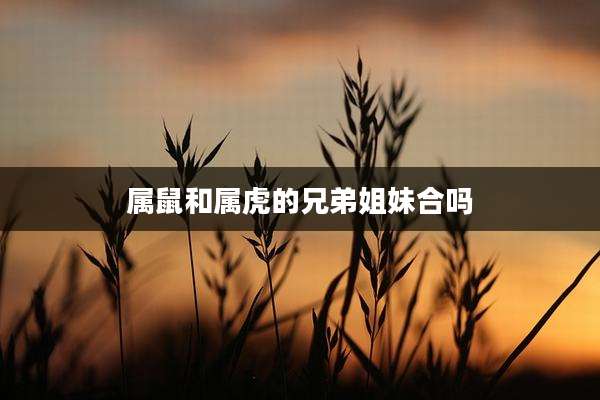 属鼠和属虎的兄弟姐妹合吗