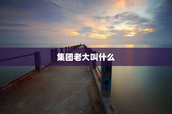 集团老大叫什么