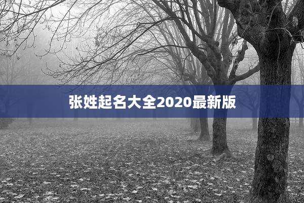 张姓起名大全2020最新版