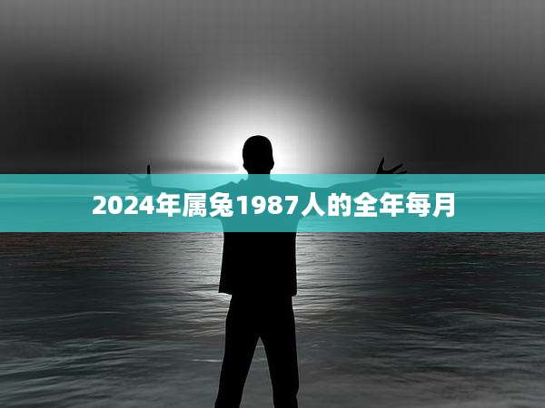 2024年属兔1987人的全年每月