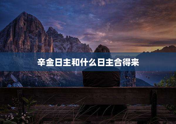 辛金日主和什么日主合得来