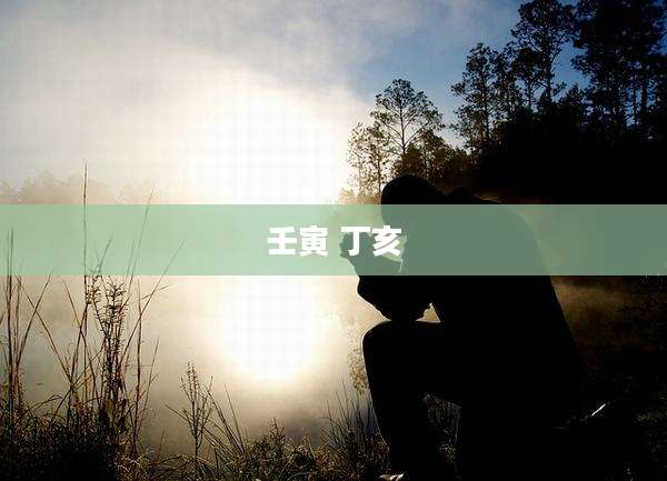壬寅 丁亥