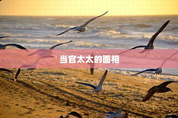 当官太太的面相