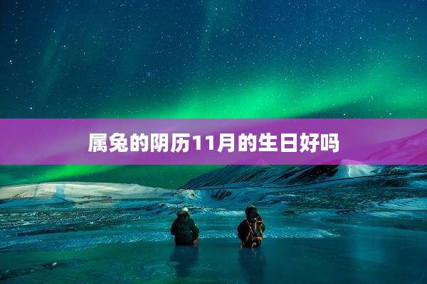 属兔的阴历11月的生日好吗