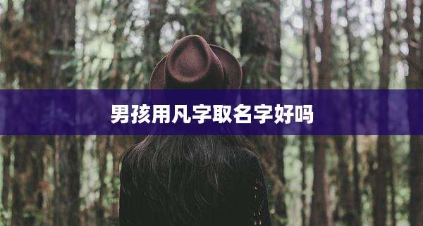男孩用凡字取名字好吗