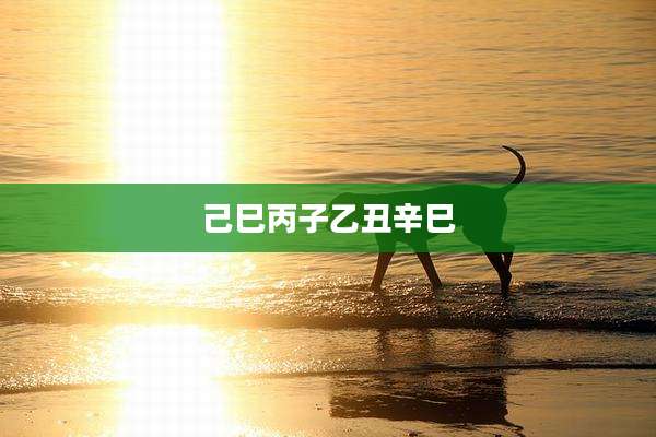 己巳丙子乙丑辛巳