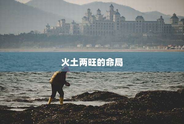 火土两旺的命局