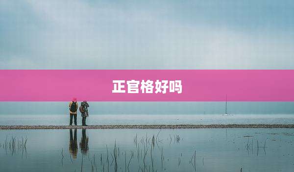 正官格好吗