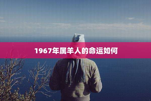 1967年属羊人的命运如何