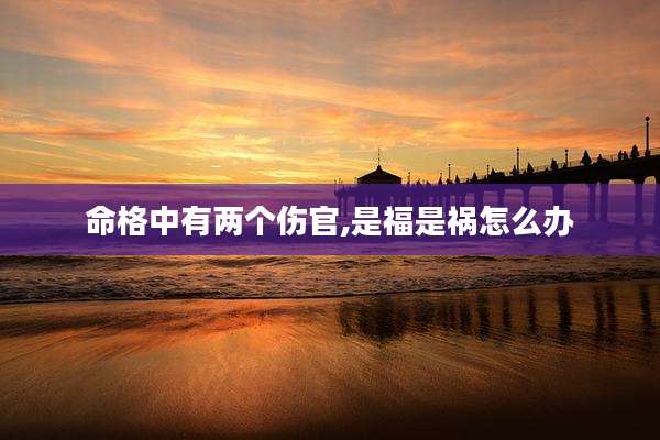 命格中有两个伤官,是福是祸怎么办