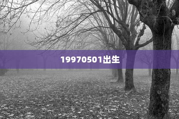 19970501出生