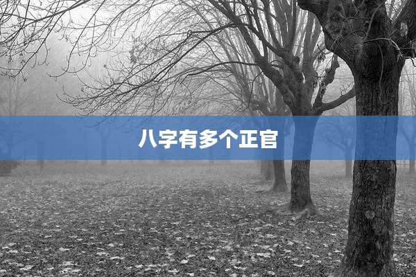 八字有多个正官