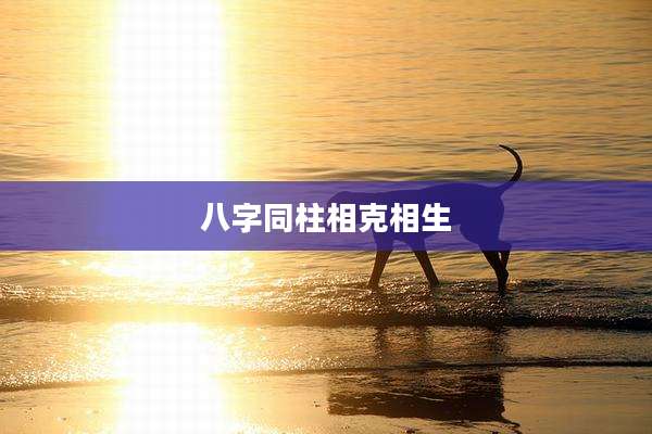 八字同柱相克相生