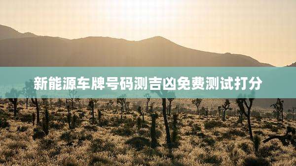 新能源车牌号码测吉凶免费测试打分
