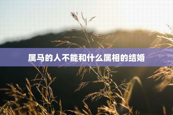 属马的人不能和什么属相的结婚