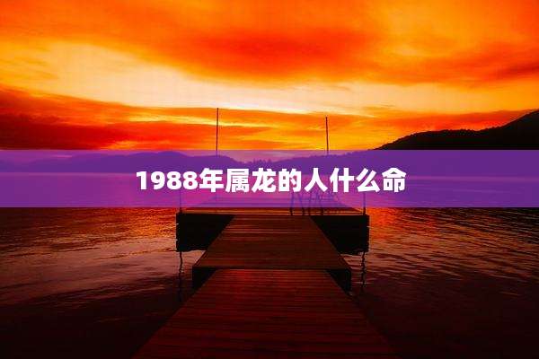 1988年属龙的人什么命