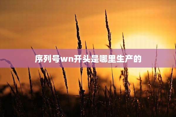 序列号wn开头是哪里生产的