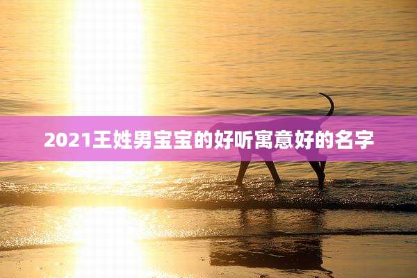 2021王姓男宝宝的好听寓意好的名字
