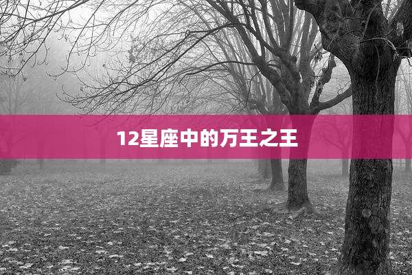 12星座中的万王之王