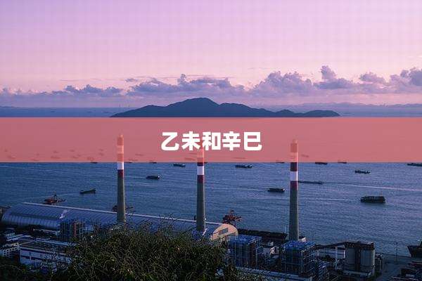 乙未和辛巳