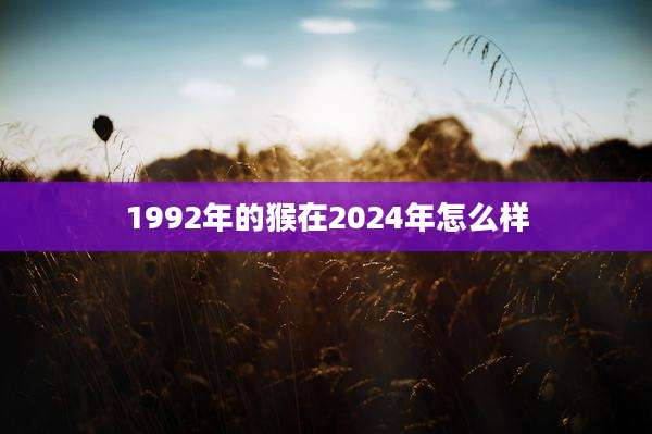 1992年的猴在2024年怎么样