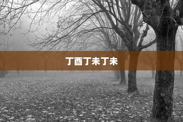 丁酉丁未丁未